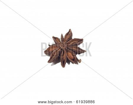 Anise