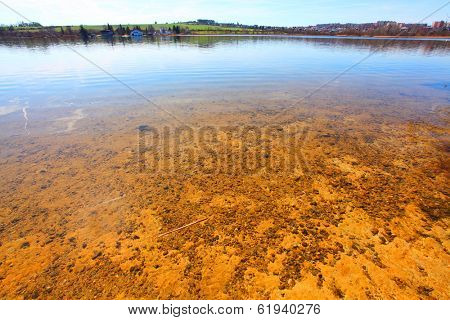 Pure water in The Bolevak Lake ( Bolevecky rybnik ). Famous destination in Pilsen city. Czech Republic, Europe.