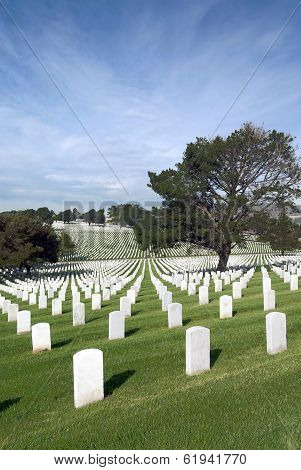 Headstones At United States National Cemetery