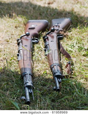 Two Rifles In The Grass