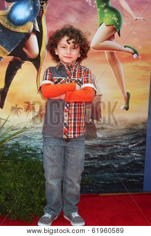 LOS ANGELES - MAR 22:  August Maturo at the Pirate Fairy Movie Premiere at Walt Disney Studios Lot on March 22, 2014 in Burbank, CA