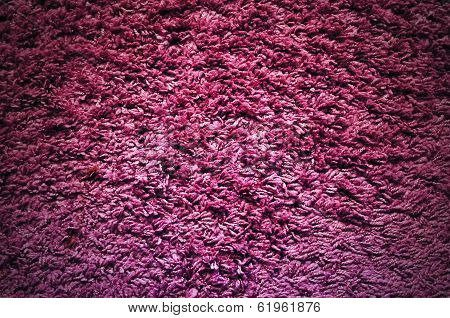 Violet Texture