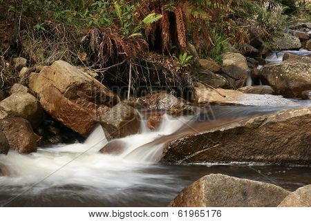 Ferny Creek