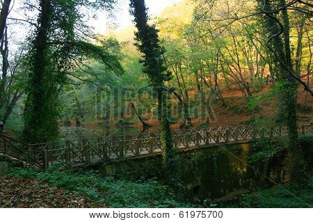 Wooden brigde