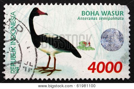 Postage Stamp Indonesia 1998 Magpie Goose, Waterbird