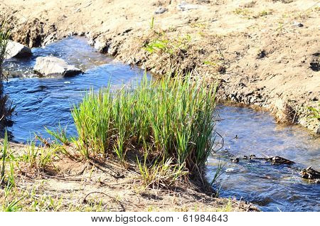 Sand, Grass And Creek