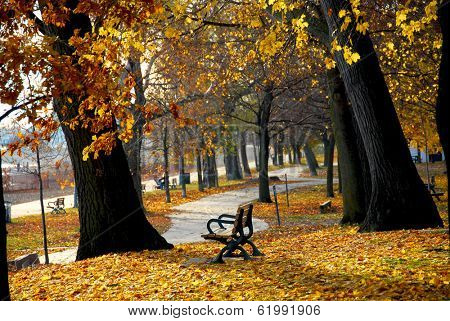 Park with old trees and recreation trail in the fall