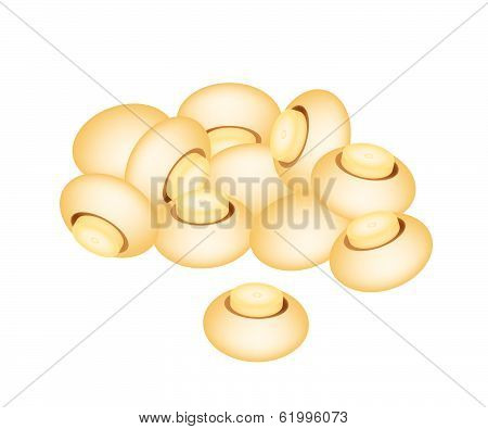 A Stake Of Champignon Mushrooms On White Background