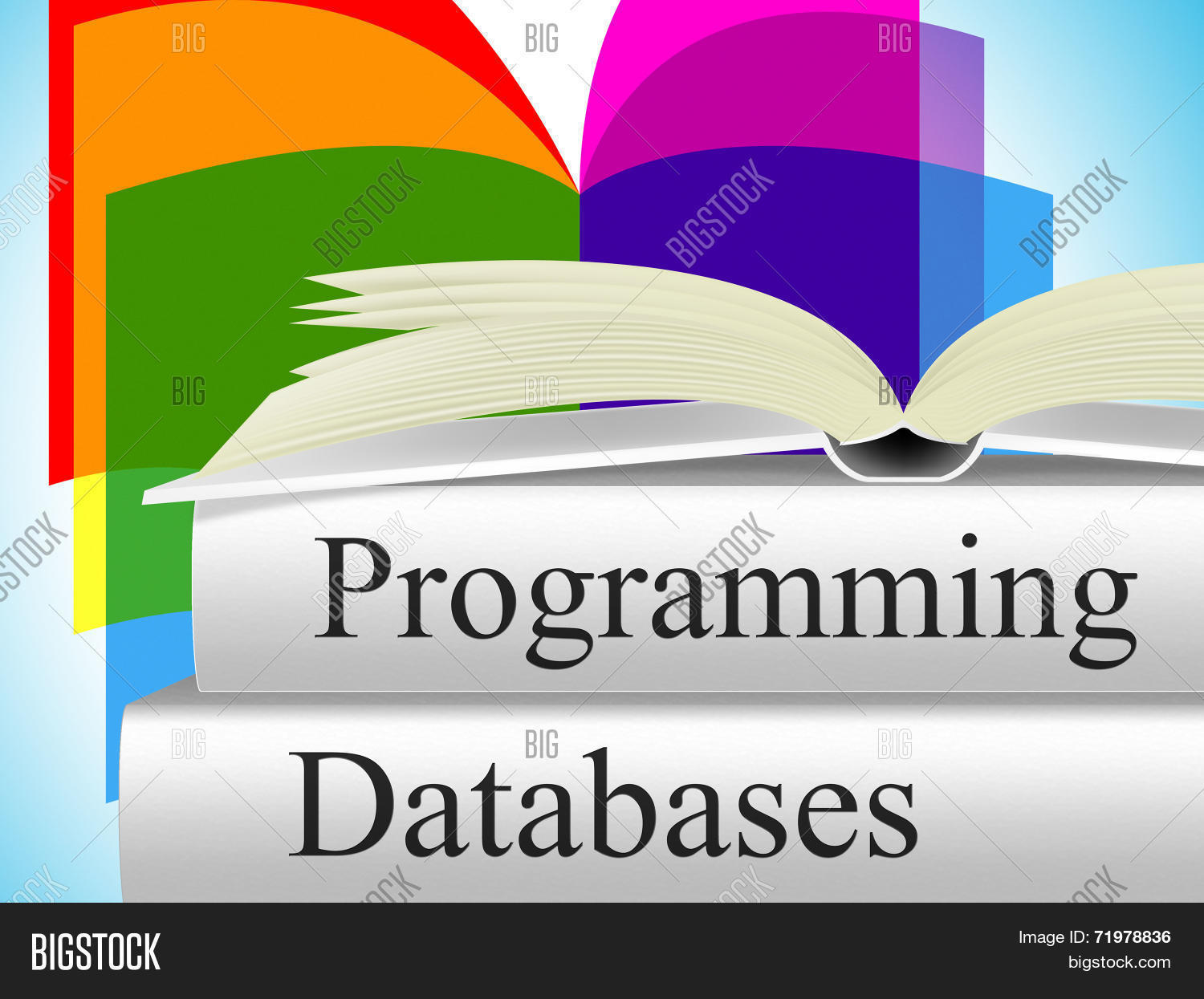Databases Programming Image & Photo (Free Trial) | Bigstock