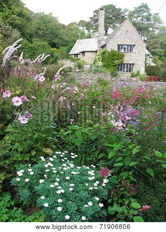 Garden With Flowers And House