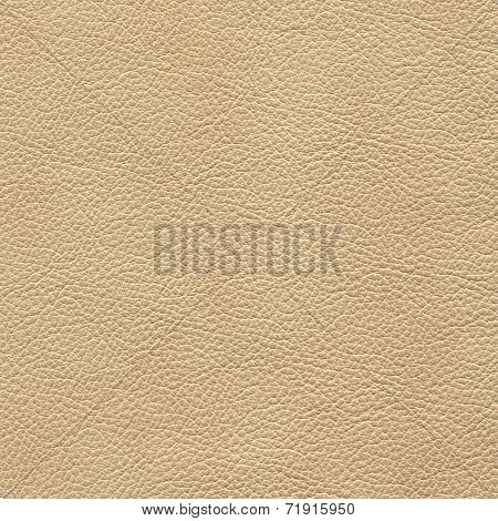 backgrounds of leather texture