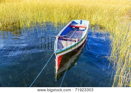 Colorful Boat And Reeds