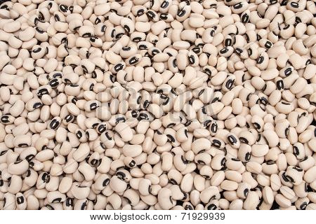 Black Eyed Beans 5154
