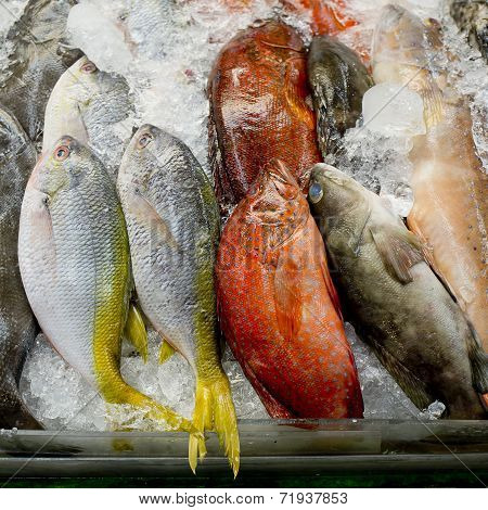 Variety Of Fresh Fish Seafood In Market Closeup Background