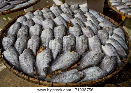 Many Dry Gourami Fishs On Bamboo Plates