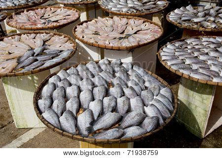 Many Dry Gourami Fishs On Bamboo Plates