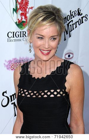 LOS ANGELES - SEP 13:  Sharon Stone at the 2014 Brent Shapiro Foundation Summer Spectacular at Private Residence on September 13, 2014 in Beverly Hills, CA