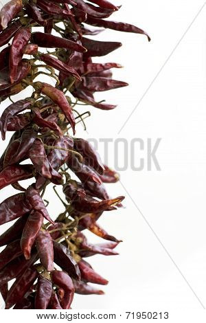 Chili