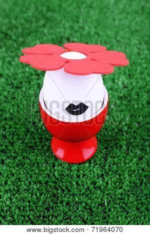 Edd in egg cup on green background