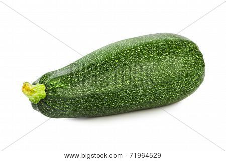 Zucchini Courgette