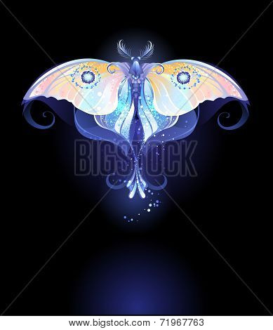 Moonlight Butterfly