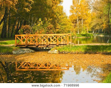 Autumn, Bridge In Park