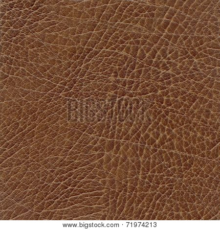 backgrounds of leather texture