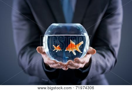 businessman holding small and big gold fish together in the fishbowl