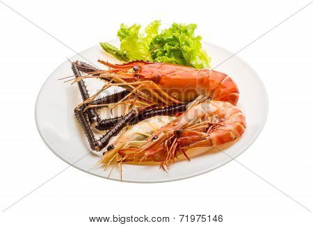 Giant Freshwater Prawn And King Prawns