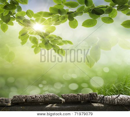planed floor and grass on the background bokeh