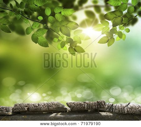 planed floor and grass on the background bokeh