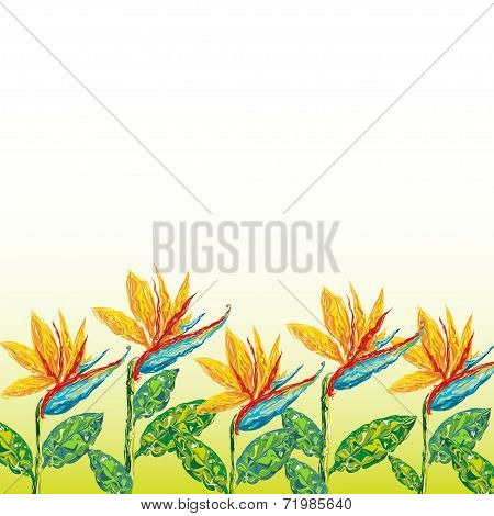 Strelitzia flowers abstract background beauty