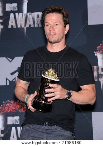 LOS ANGELES - APR 13:  Mark Wahlberg in the 2014 MTV Movie Awards - Press Room  on April 13, 2014 in Los Angeles, CA.                