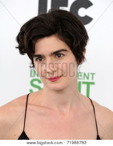 LOS ANGELES - MAR 01:  Gaby Hoffmann arrives to the Film Independent Spirit Awards 2014  on March 01, 2014 in Santa Monica, CA.                