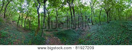 Abrau Peninsula, reserve Utrish