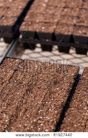 Planting Pots
