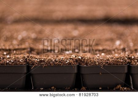 Planting Pots