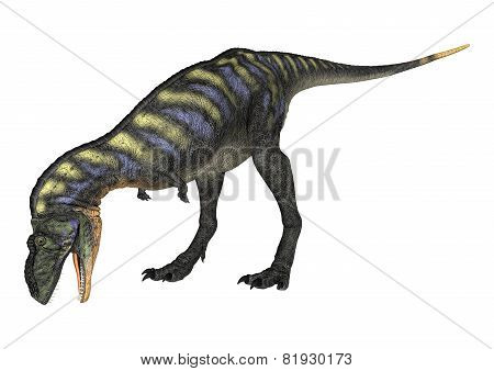 Dinosaur Aucasaurus
