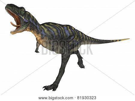 Dinosaur Aucasaurus