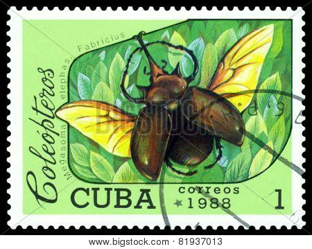 Vintage  Postage Stamp.   Beetle Megasoma Elephas. Fabricius.