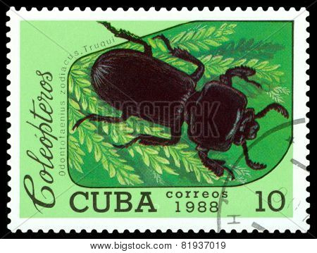 Vintage  Postage Stamp.   Beetle Odontotaenius Zodiacus. Truqui.