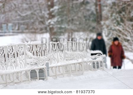 Tsarskoye Selo (Pushkin), Saint-Petersburg, Russia. The Catherine Park