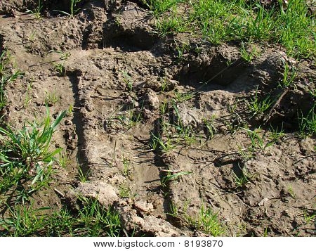 Spoor van de trekker