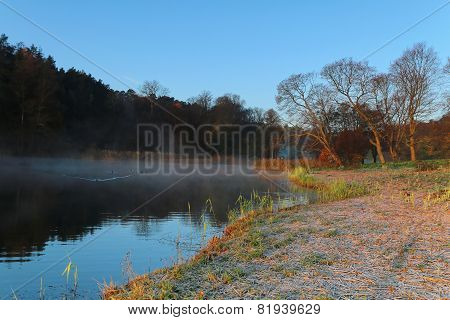 Silhouette Of Tree A By The Lake A Foggy Morning