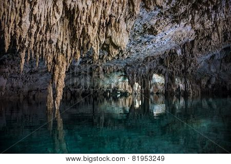 Inside A Cenote Pet Cementery, Tulum Riviera Maya, Traveling Mexico.