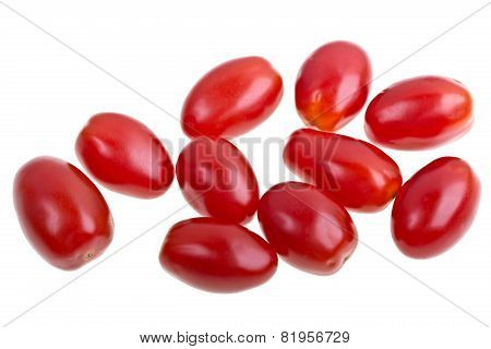 Perino Tomatoes