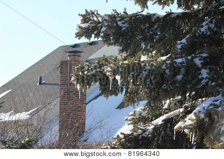 Town Homes and Fresh Winter Snow on Pine or Cedar Trees in Hoffman Estates Illinois
