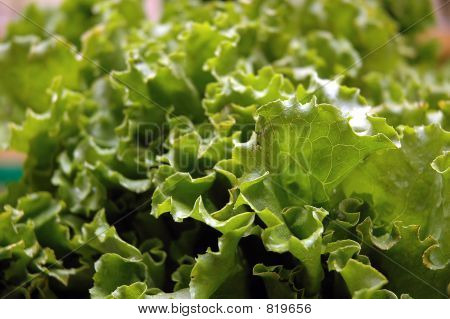 salat