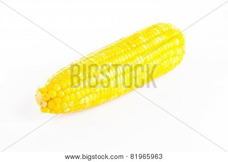 Corn On White Background