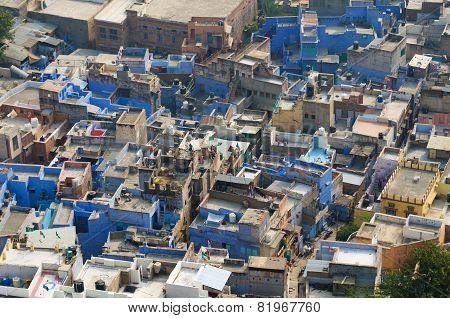 Famous Blue City In Jodhpur